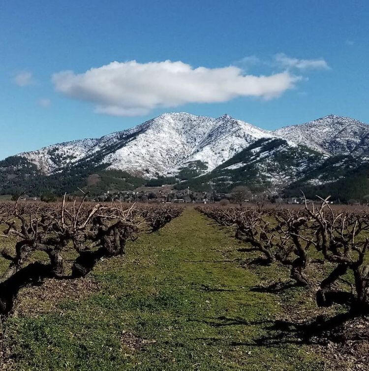 Heritage Wines